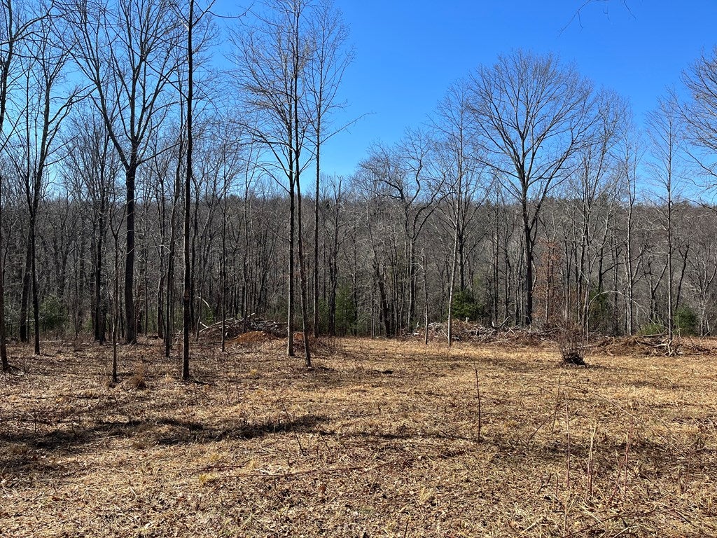 0 Sunny Ridge Road Northeast, Unit 3E Floyd, VA 24091 - Photo 11 of 37 Gallery Image 11