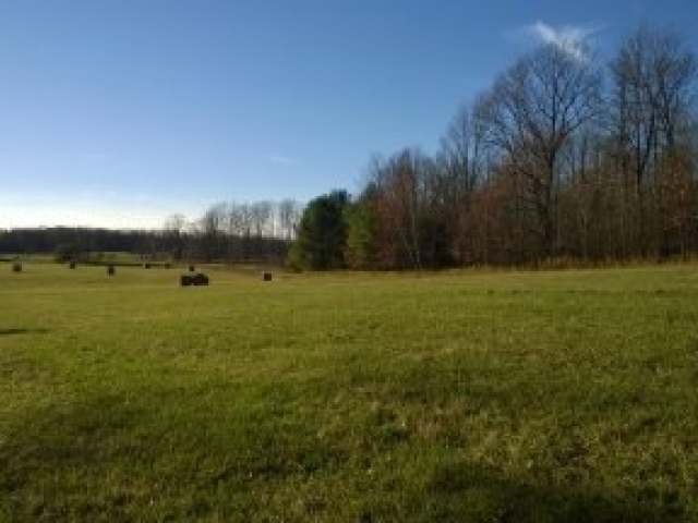 Hill-prentice Prentice Road Ogema, WI 54459 - Photo 9 of 20 Gallery Image 9