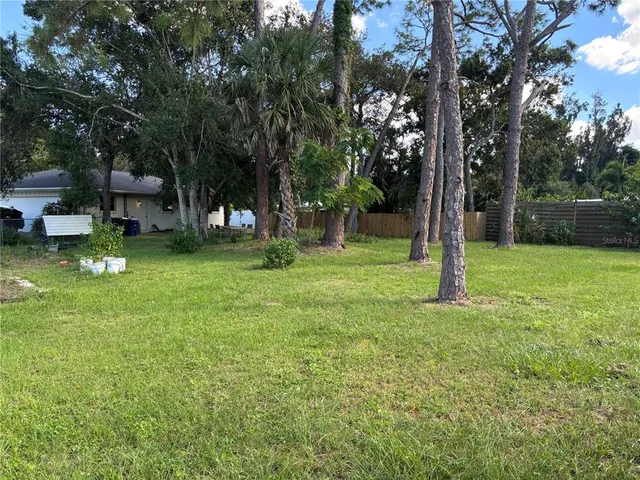 a view of a tree in a park