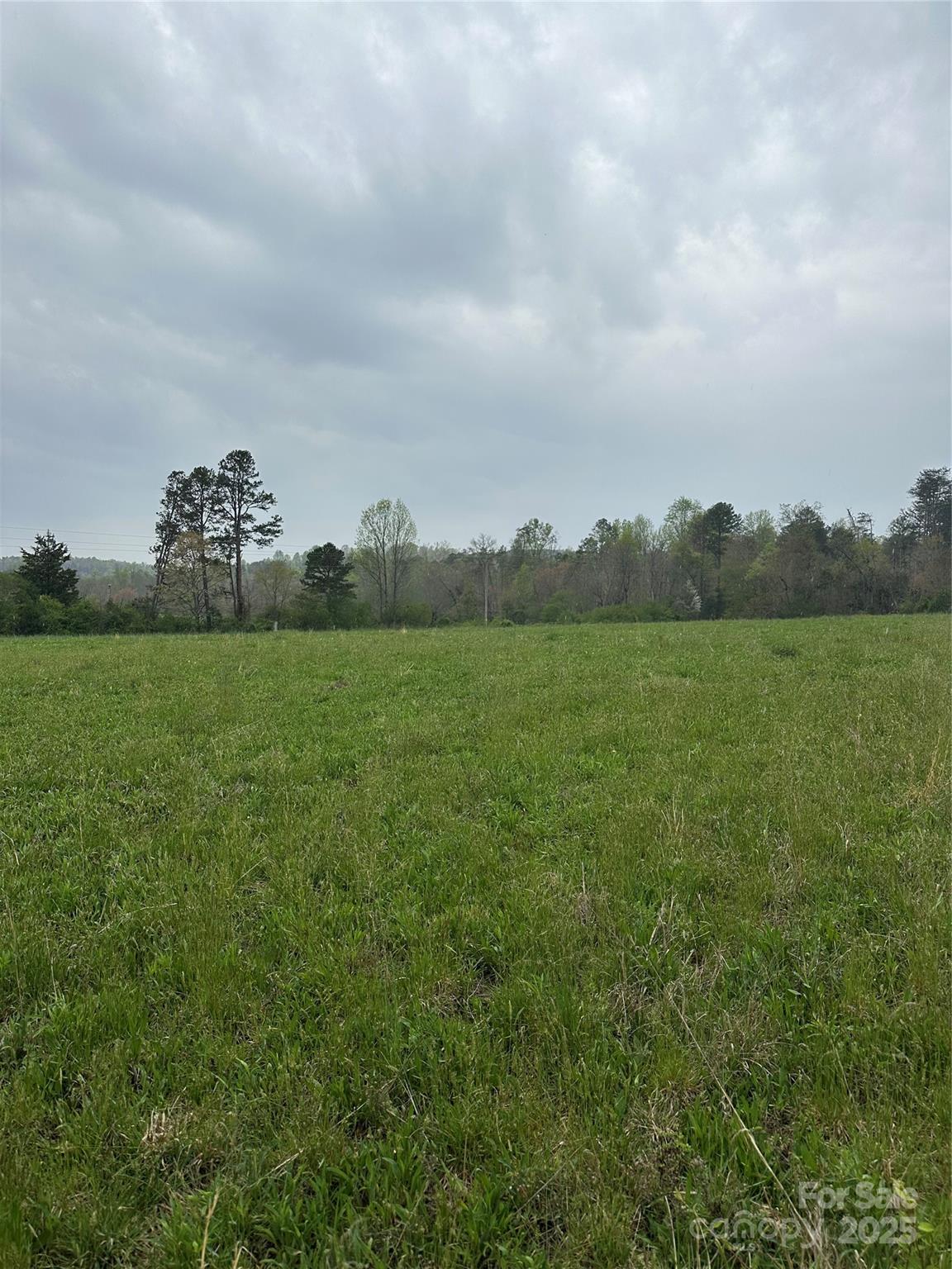 0 Piney Knob Road Rutherfordton, NC 28139 - Photo 2 of 8