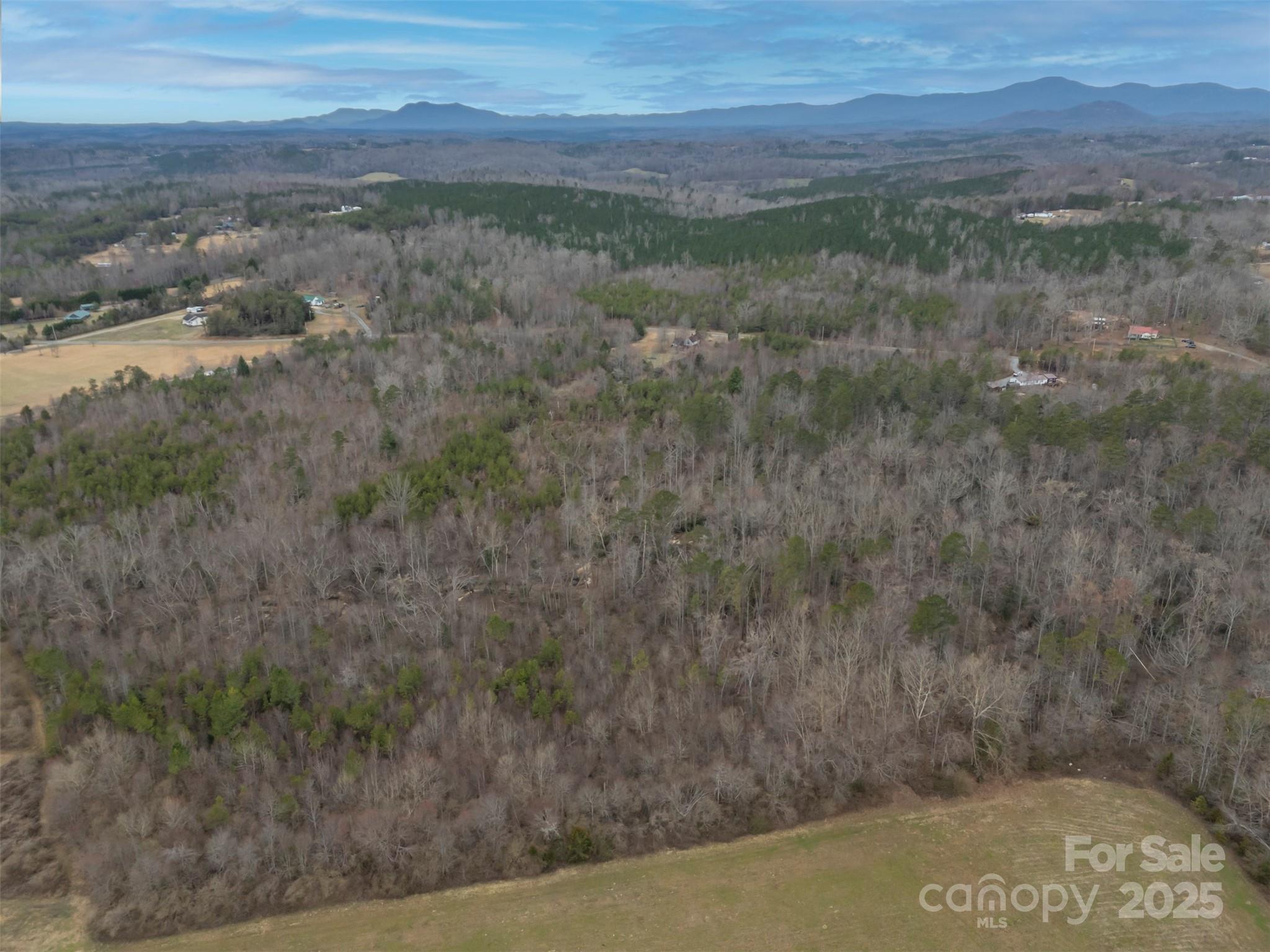 0 Piney Knob Road Rutherfordton, NC 28139 - Photo 3 of 8