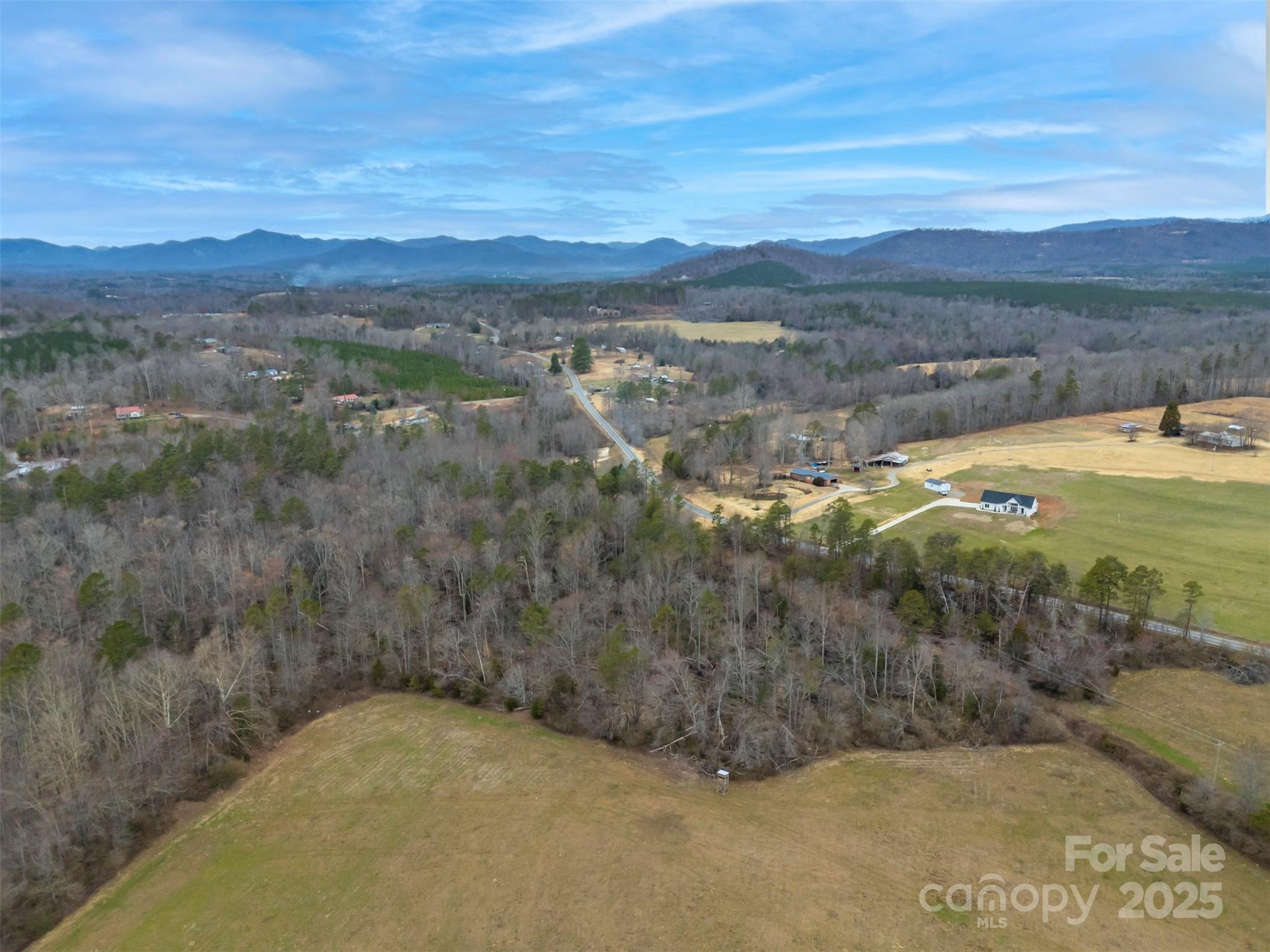 0 Piney Knob Road Rutherfordton, NC 28139 - Photo 4 of 8