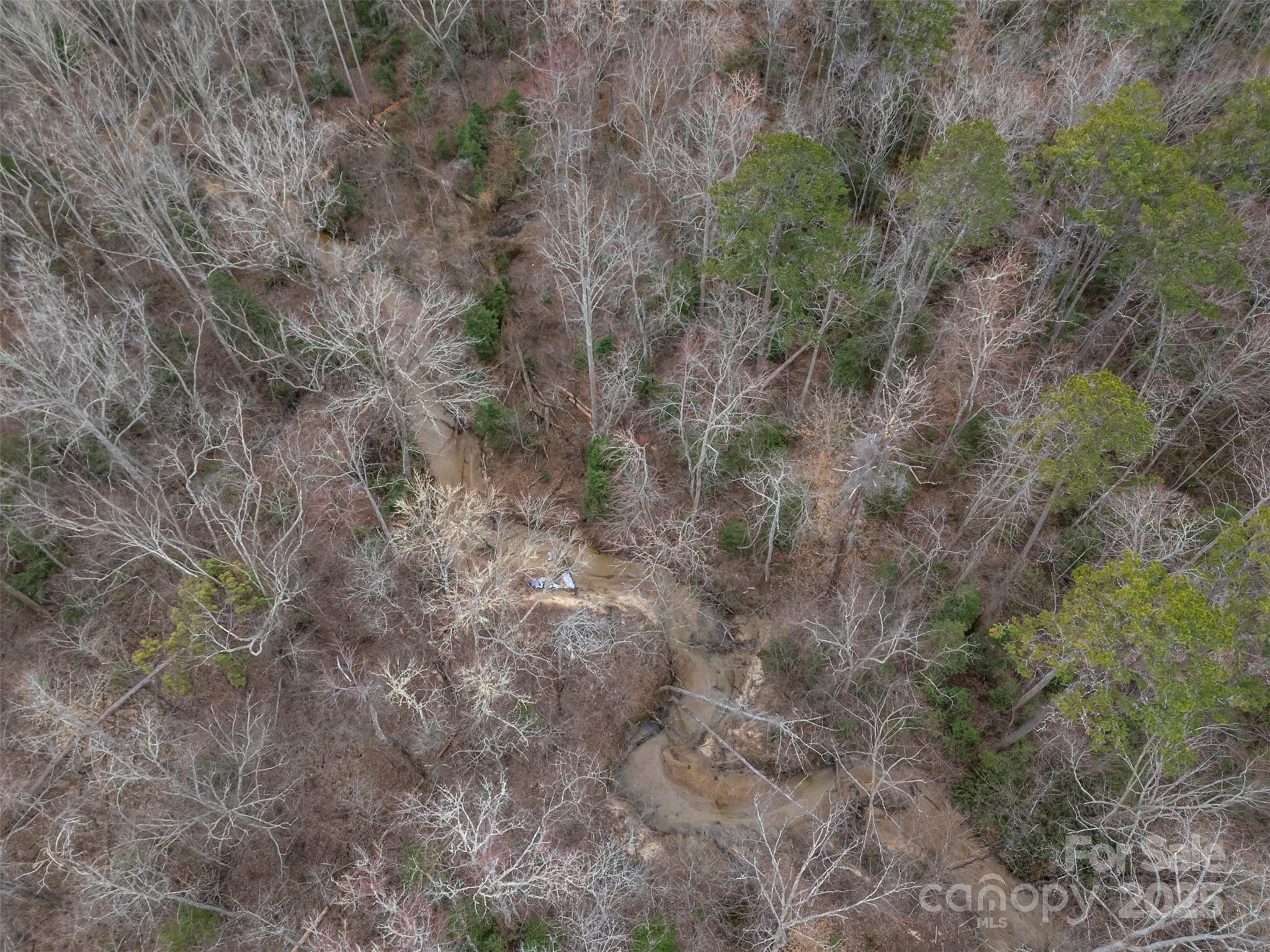 0 Piney Knob Road Rutherfordton, NC 28139 - Photo 6 of 8