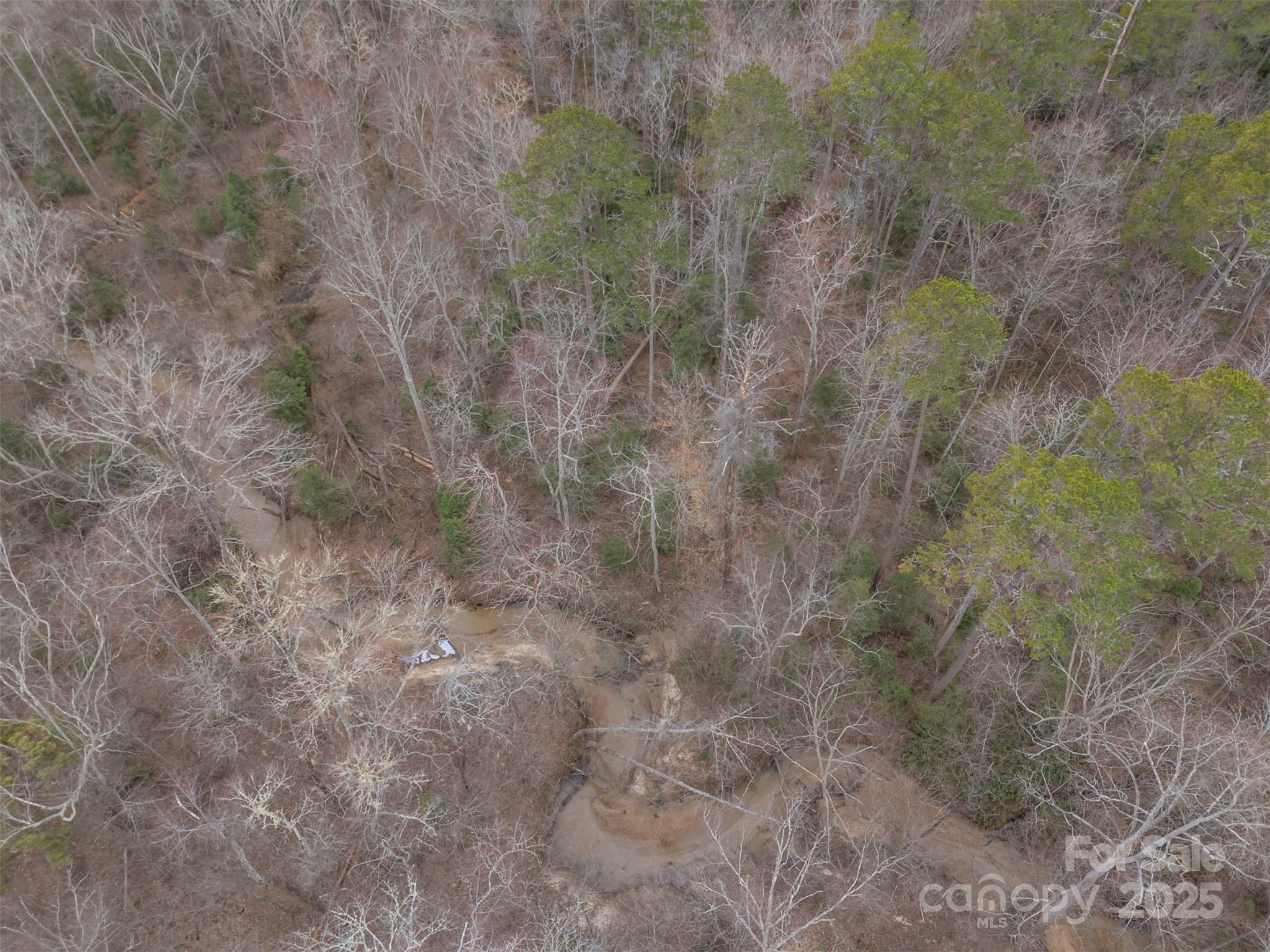 0 Piney Knob Road Rutherfordton, NC 28139 - Photo 7 of 8