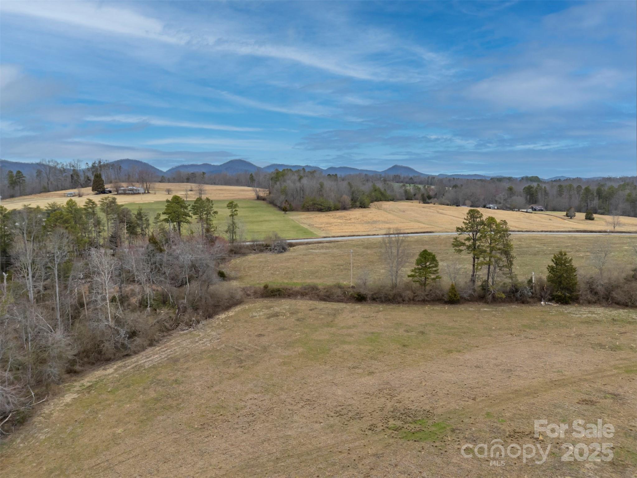 0 Piney Knob Road Rutherfordton, NC 28139 - Photo 8 of 8