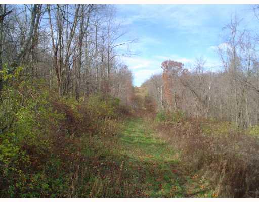 Myers Road Eighty Four, PA 15330 - Photo 1 of 6 Land.