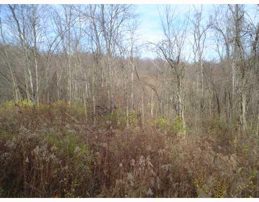 Myers Road Eighty Four, PA 15330 - Photo 2 of 6 Land.
