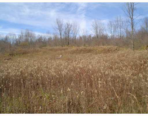 Myers Road Eighty Four, PA 15330 - Photo 5 of 6 Land.