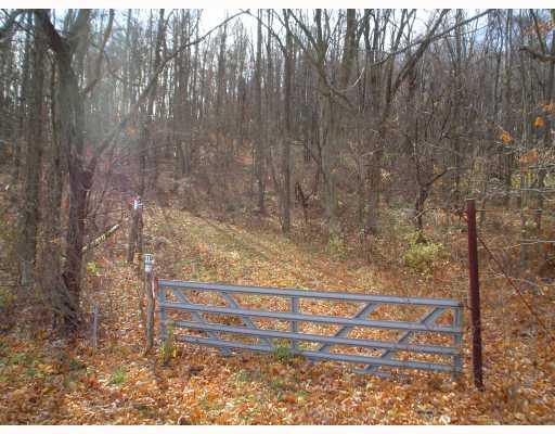 Myers Road Eighty Four, PA 15330 - Photo 6 of 6 Land.