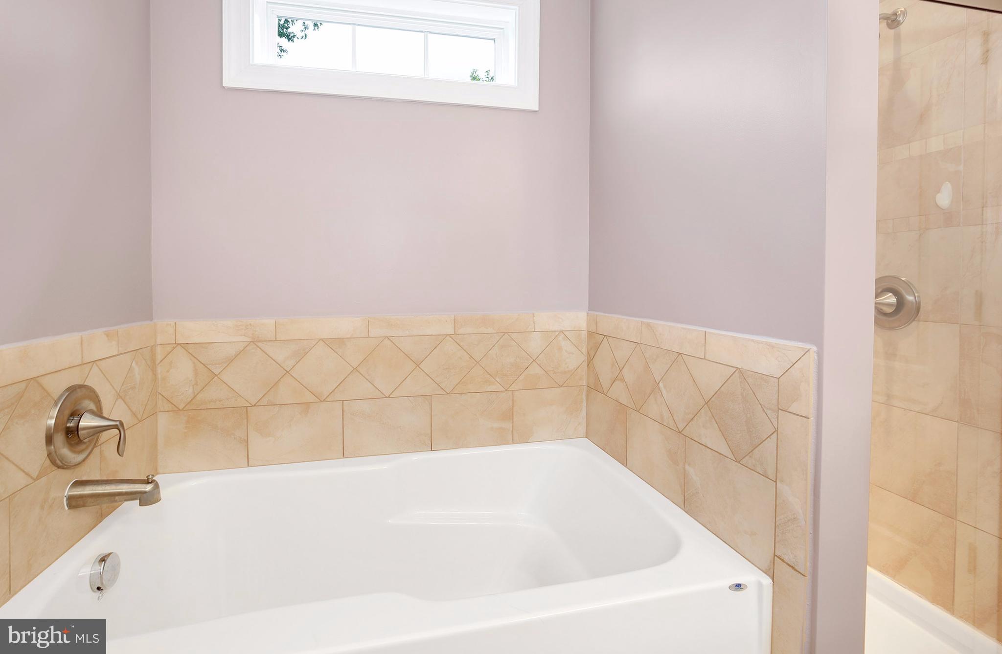 13200 Choptank Road Baltimore, MD 21220 - Photo 17 of 28 Bath (Master)