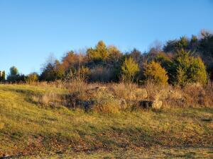 Lot B Links View Drive Butler, KY 41006 - Photo 2 of 4