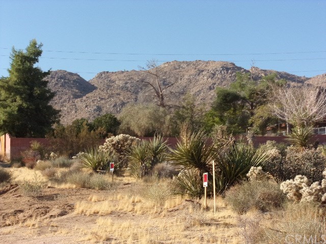 7345 Juniper Road Joshua Tree, CA 92252 - Photo 1 of 1