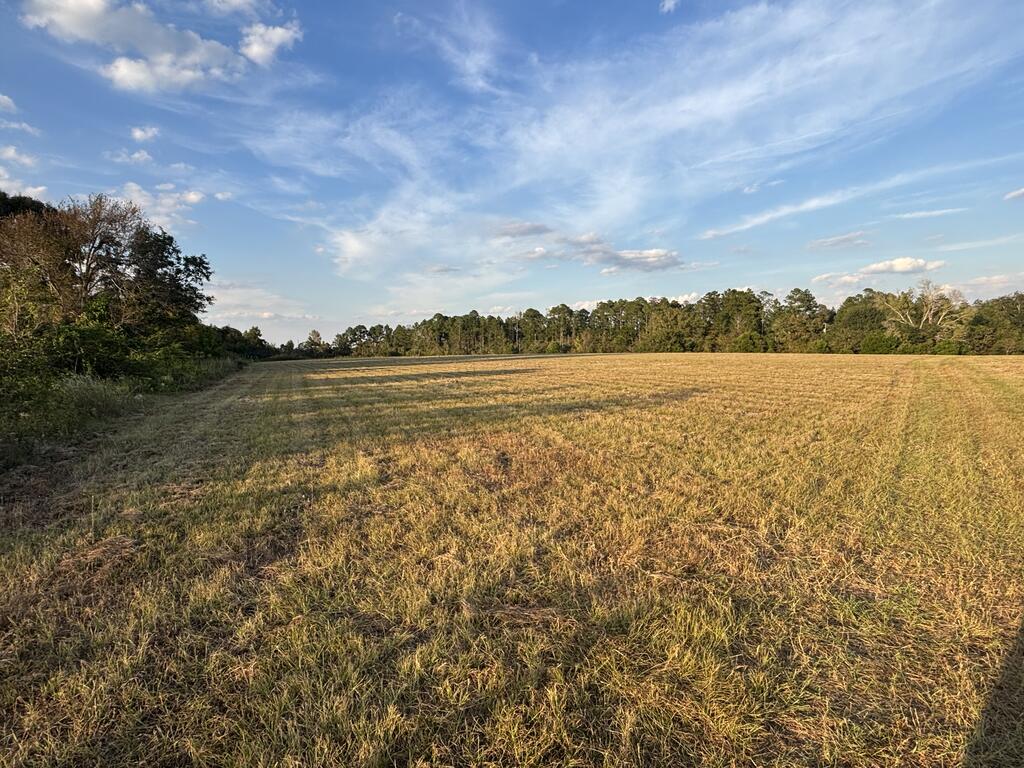 63 Hayes Road Mauk, GA 31058 - Photo 4 of 18 Gallery Image 4