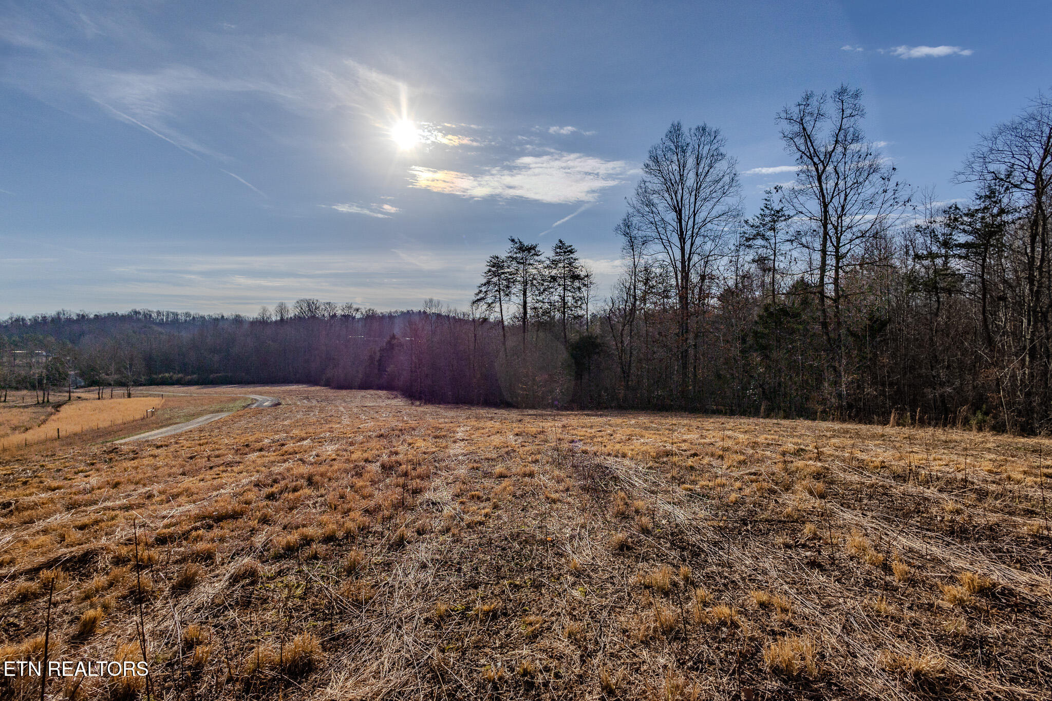 210 Dogtown Road Ten Mile, TN 37880 - Photo 3 of 12 Pasture