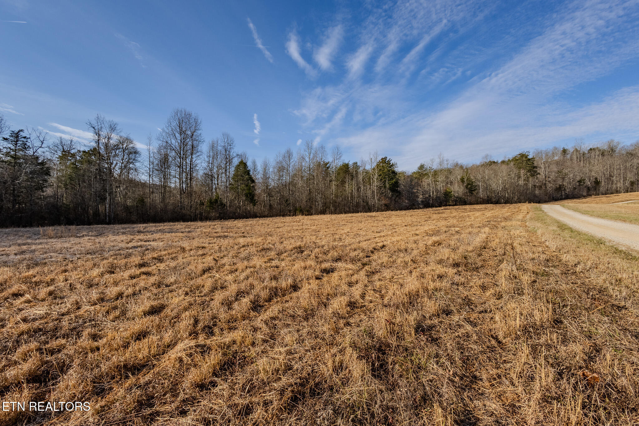 210 Dogtown Road Ten Mile, TN 37880 - Photo 4 of 12 Pasture
