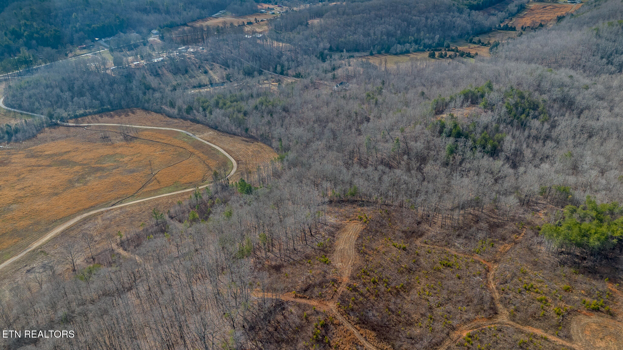 210 Dogtown Road Ten Mile, TN 37880 - Photo 7 of 12 Aerial