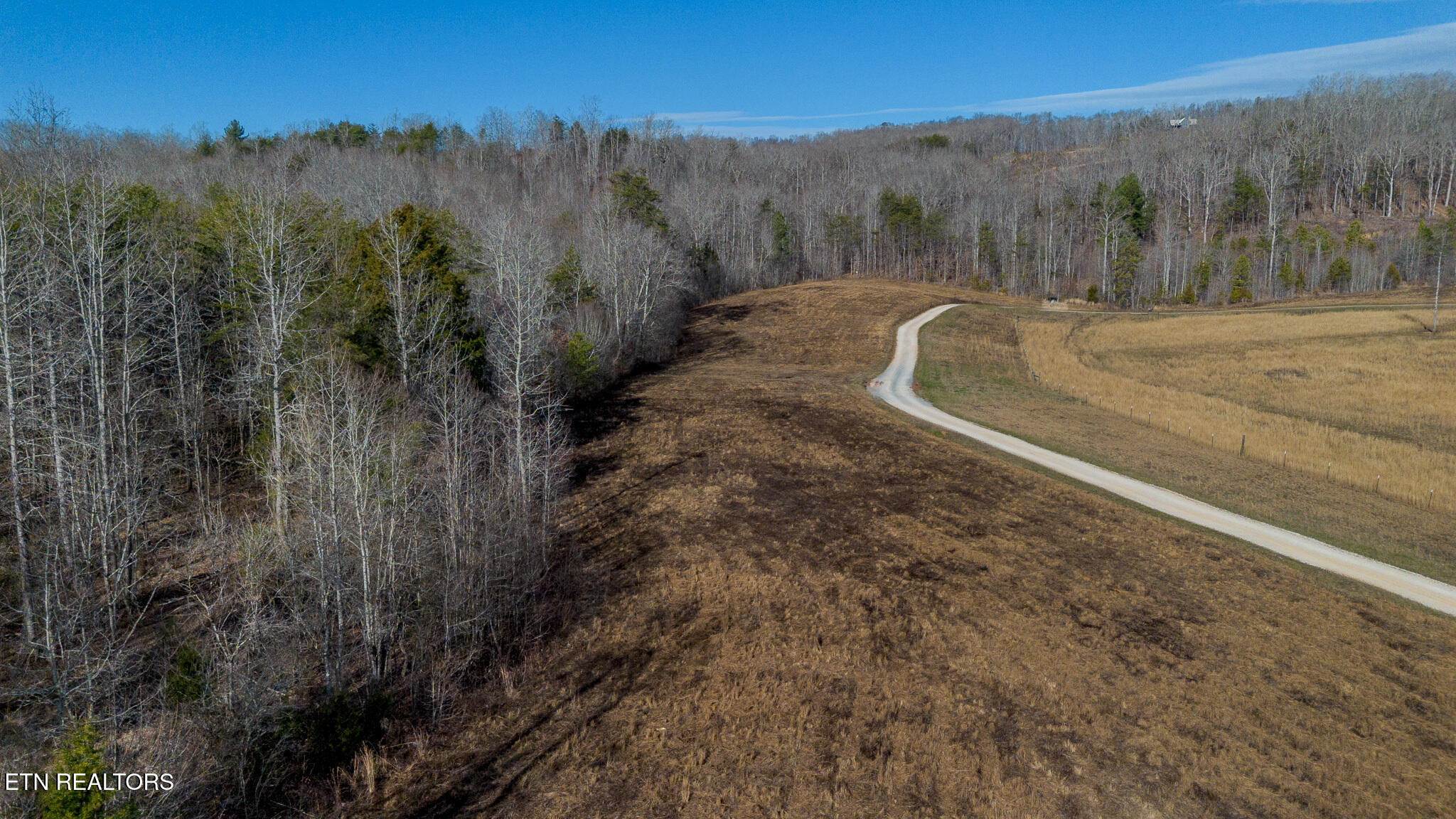 210 Dogtown Road Ten Mile, TN 37880 - Photo 8 of 12 Pasture/wooded