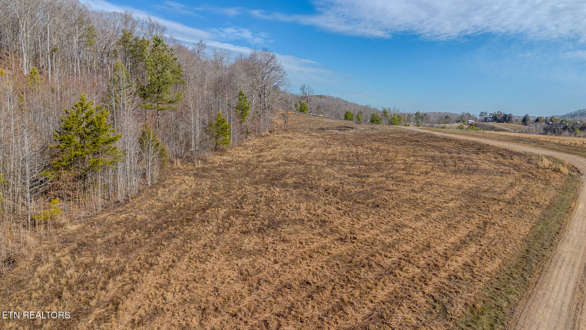 210 Dogtown Road Ten Mile, TN 37880 - Photo 9 of 12 Wooded/pasture