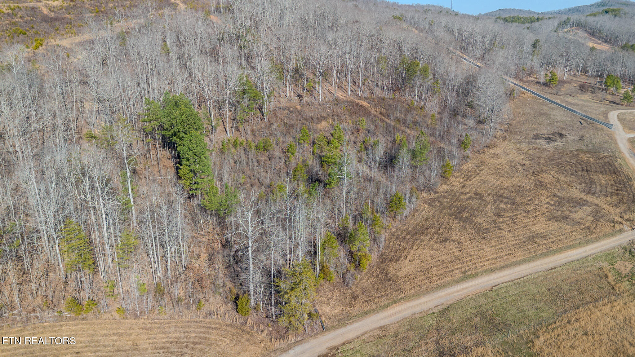 210 Dogtown Road Ten Mile, TN 37880 - Photo 10 of 12 IMG_0022