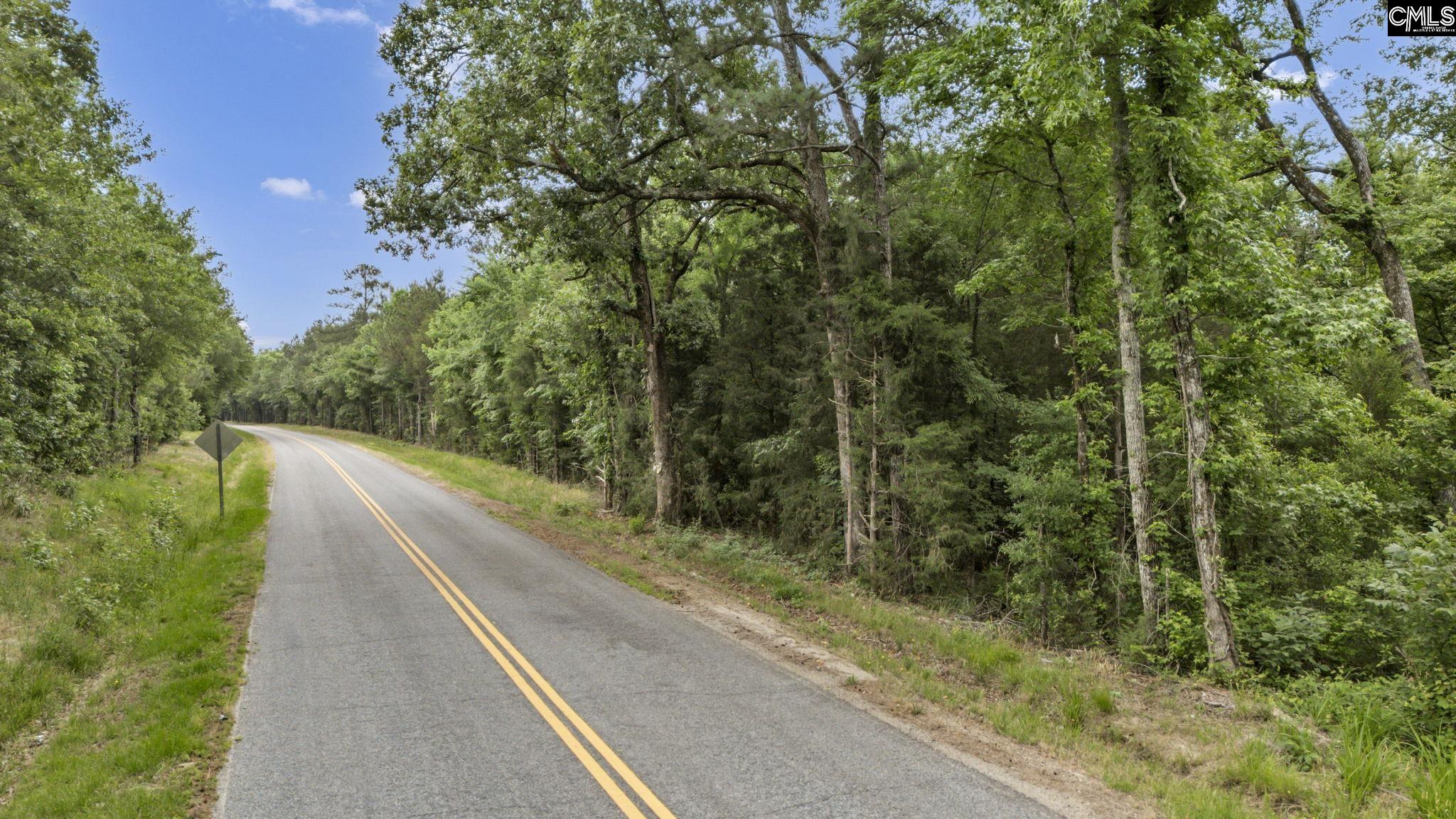 0 Bark Avenue Prosperity, SC 29127 - Photo 2 of 23