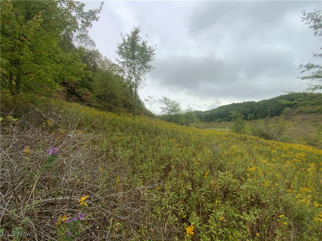 Taylor Road Dennison, OH 44621 - Photo 20 of 27 View of landscape with a view of trees