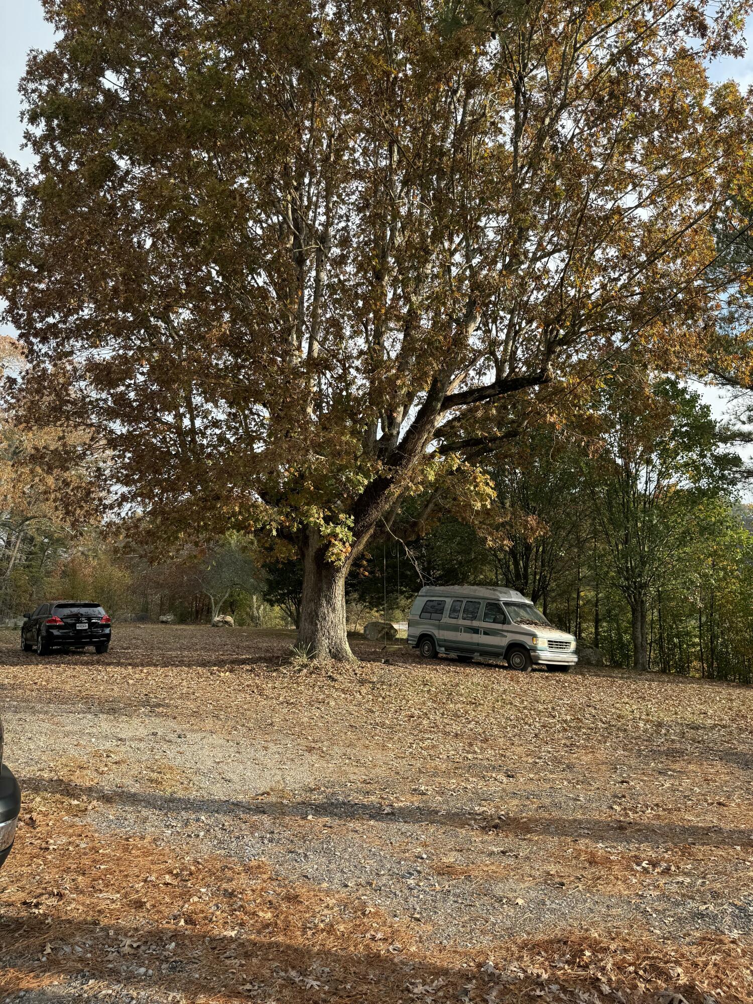 2558 North Dick Creek Road LaFayette, GA 30728 - Photo 6 of 21 IMG_1174