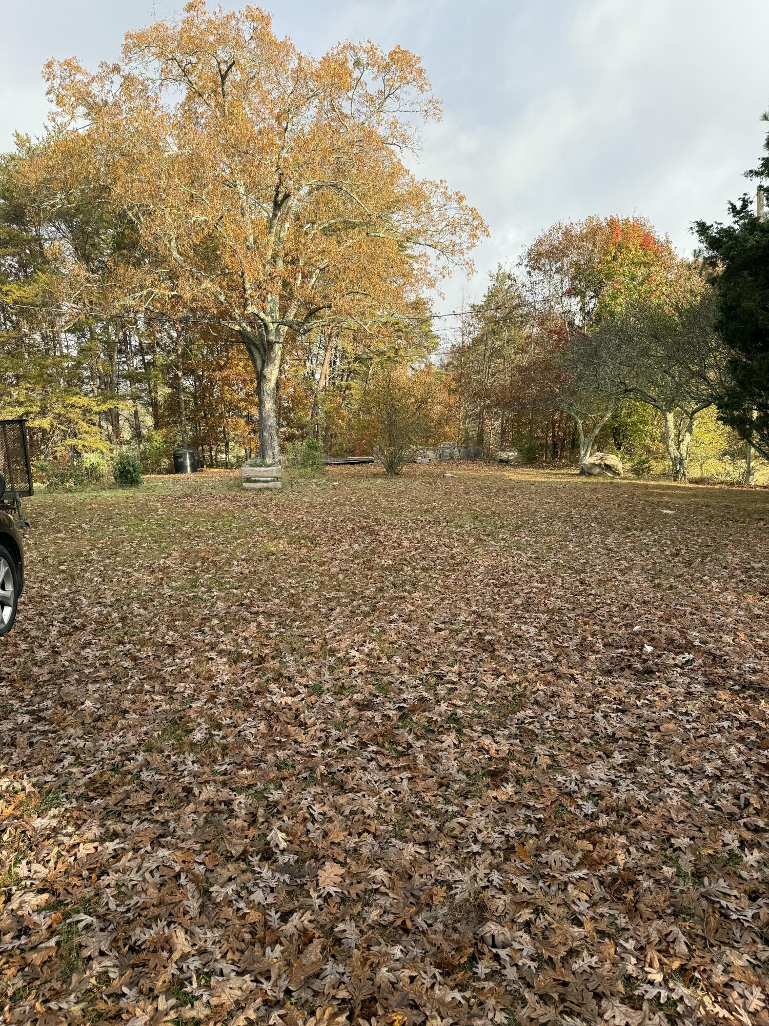 2558 North Dick Creek Road LaFayette, GA 30728 - Photo 7 of 21 IMG_1175