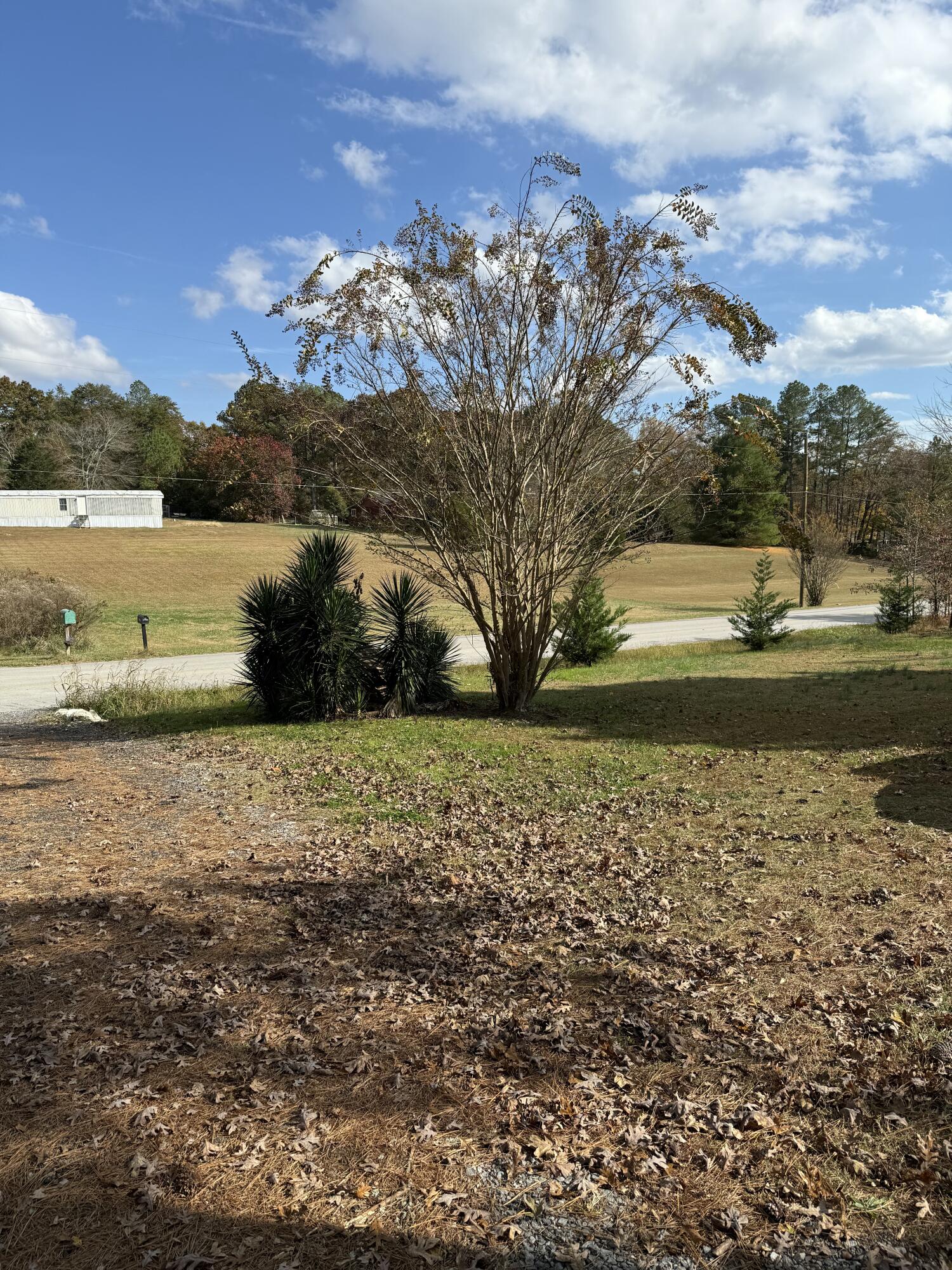 2558 North Dick Creek Road LaFayette, GA 30728 - Photo 8 of 21 IMG_1184