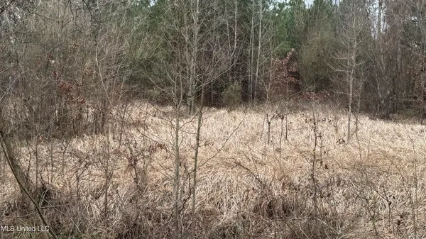 $30,000 | 1 Magnolia Heights, Forest, MS 39074