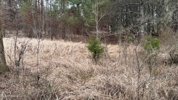 $30,000 | 1 Magnolia Heights, Forest, MS 39074