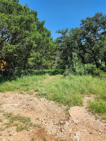 a view of a yard with a tree
