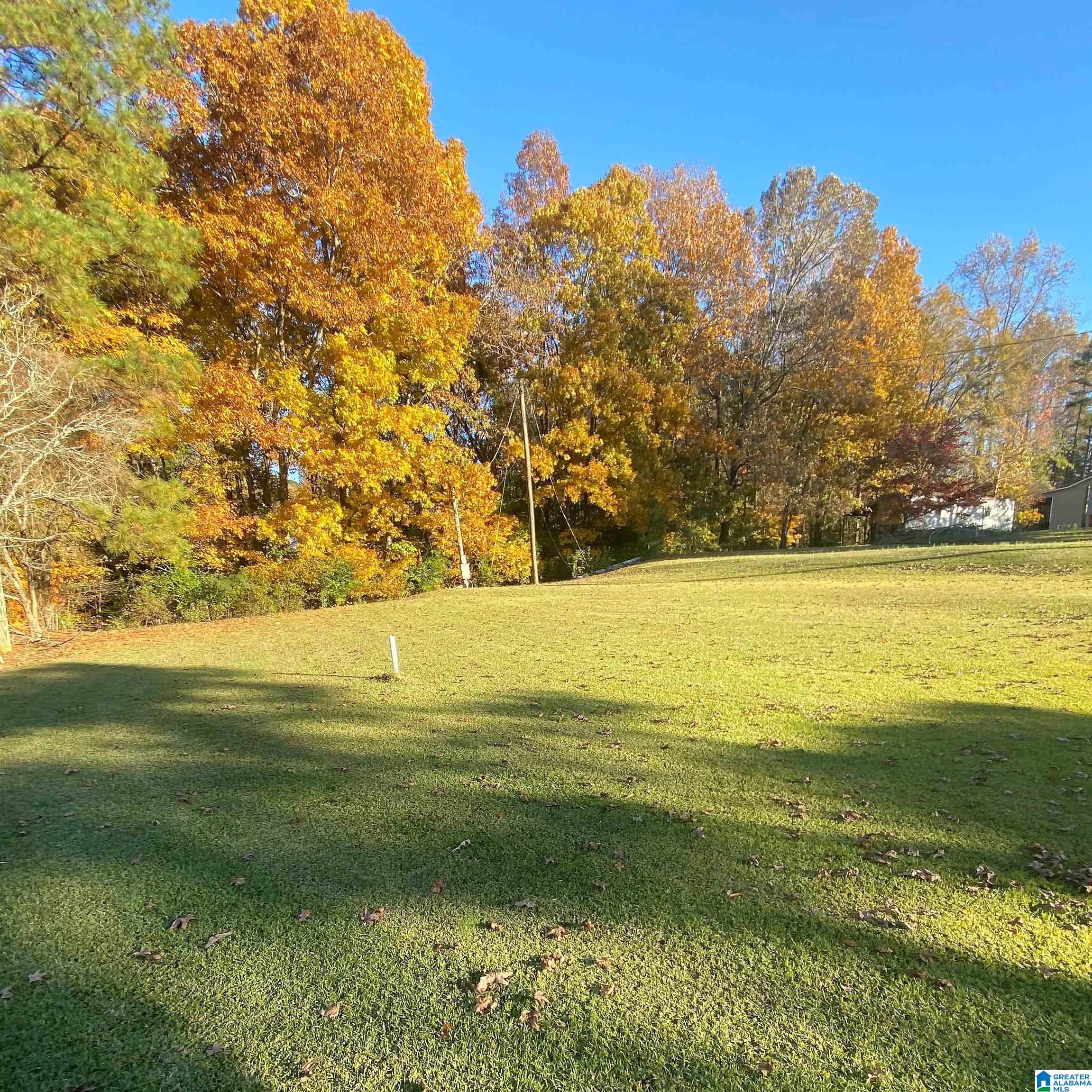 0 Oscar Bradford Road Hayden, AL 35079 - Photo 6 of 6