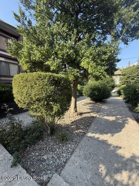1040 Cherokee Road, Unit F1 Louisville, KY 40204 - Photo 20 of 22 IMG_8780