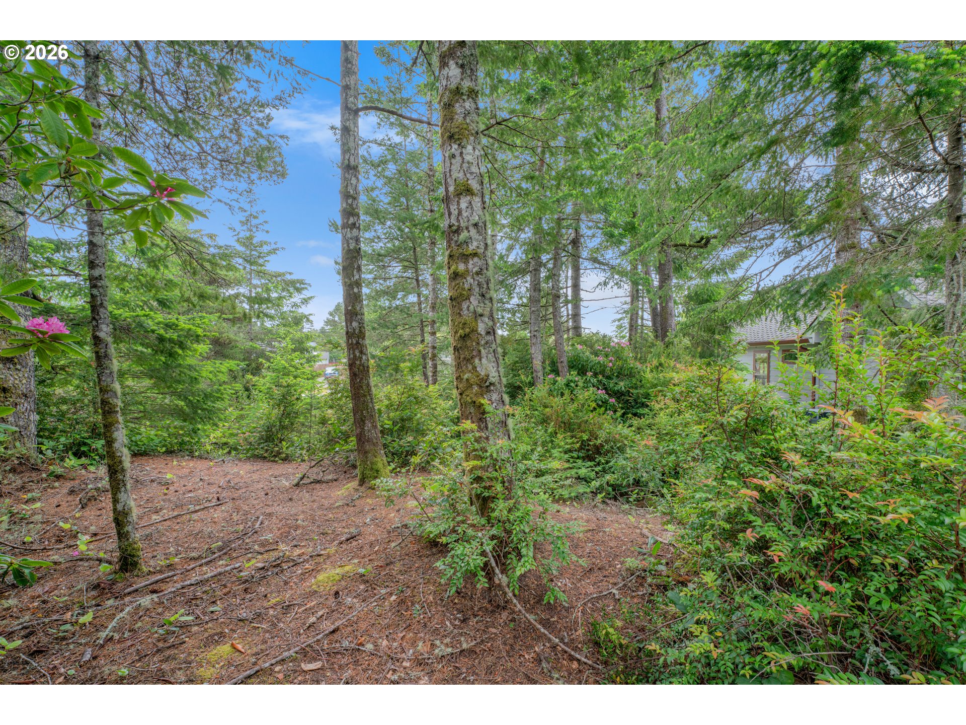 1639 Willow Loop Florence, OR 97439 - Photo 11 of 18