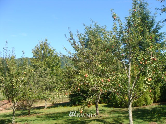 499 Young Road Mossyrock, WA 98564 - Photo 14 of 15 Gallery Image 14