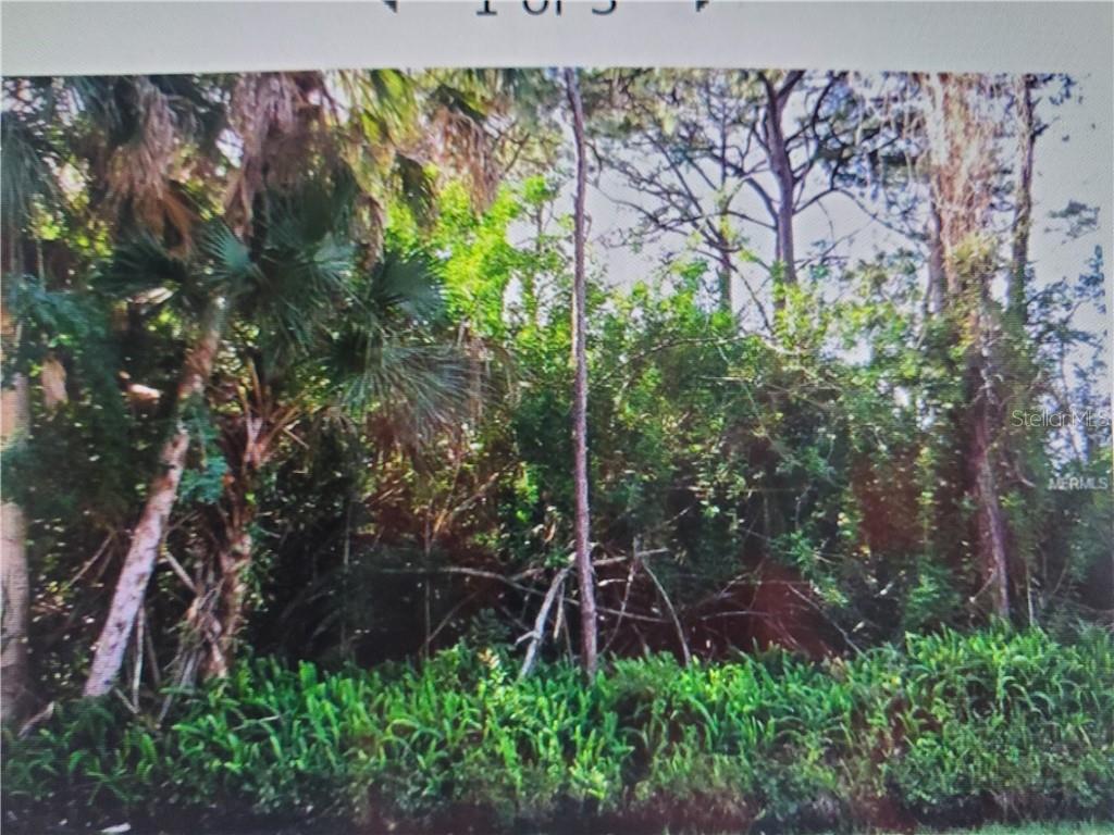Duke Road Venice, FL 34293 - Photo 1 of 1