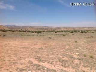 6435 North River Springs Ranch St. Johns, AZ 85936 - Photo 19 of 19