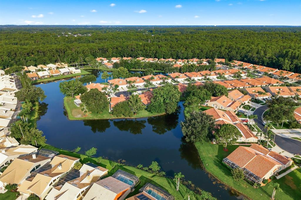 3857 Timber Ridge Court Palm Harbor, FL 34685 - Photo 55 of 56