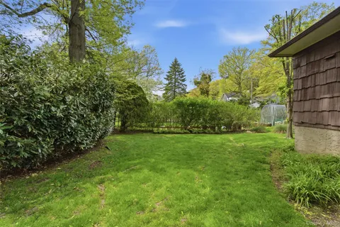 a view of a yard
