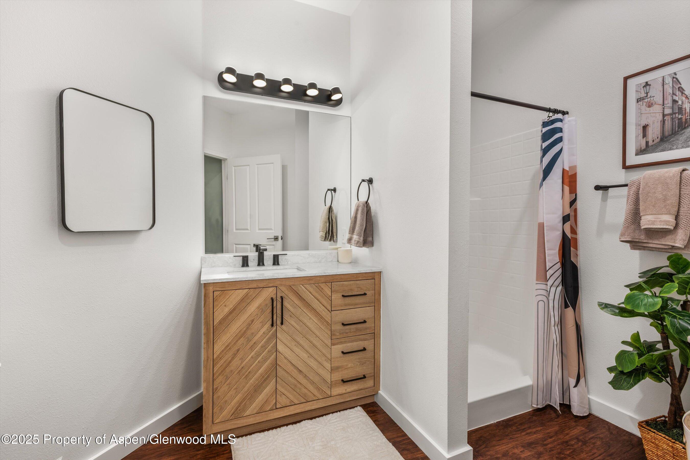 1400 East Valley Road, Unit 115 Basalt, CO 81621 - Photo 15 of 17 a bathroom with a sink a mirror and a potted plant