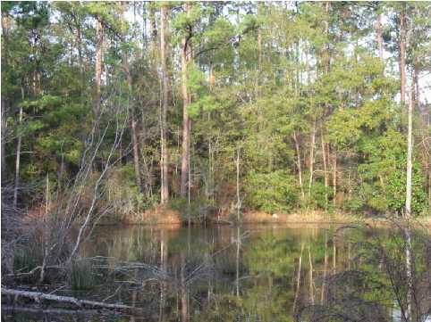 N/a Hewett Road DeFuniak Springs, FL 32435 - Photo 2 of 4 Additional Photo