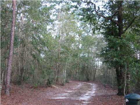 N/a Hewett Road DeFuniak Springs, FL 32435 - Photo 4 of 4 Additional Photo