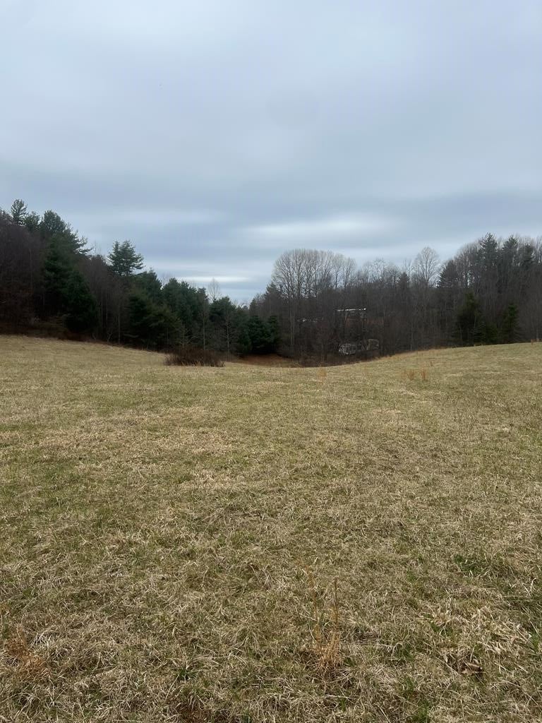 299 Red Ford Road Southwest, Unit 114 Meadows Of Dan, VA 24120 - Photo 1 of 8 Gallery Image 1