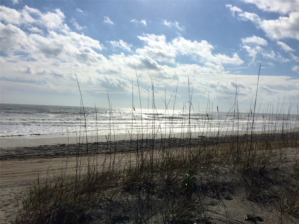 95118 Sandpiper Loop Fernandina Beach, FL 32034 - Photo 28 of 35 a view of a lake
