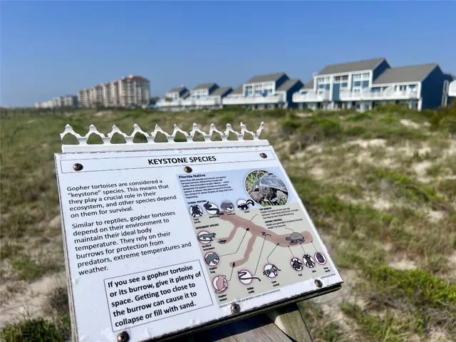 a view of a lake from a balcony