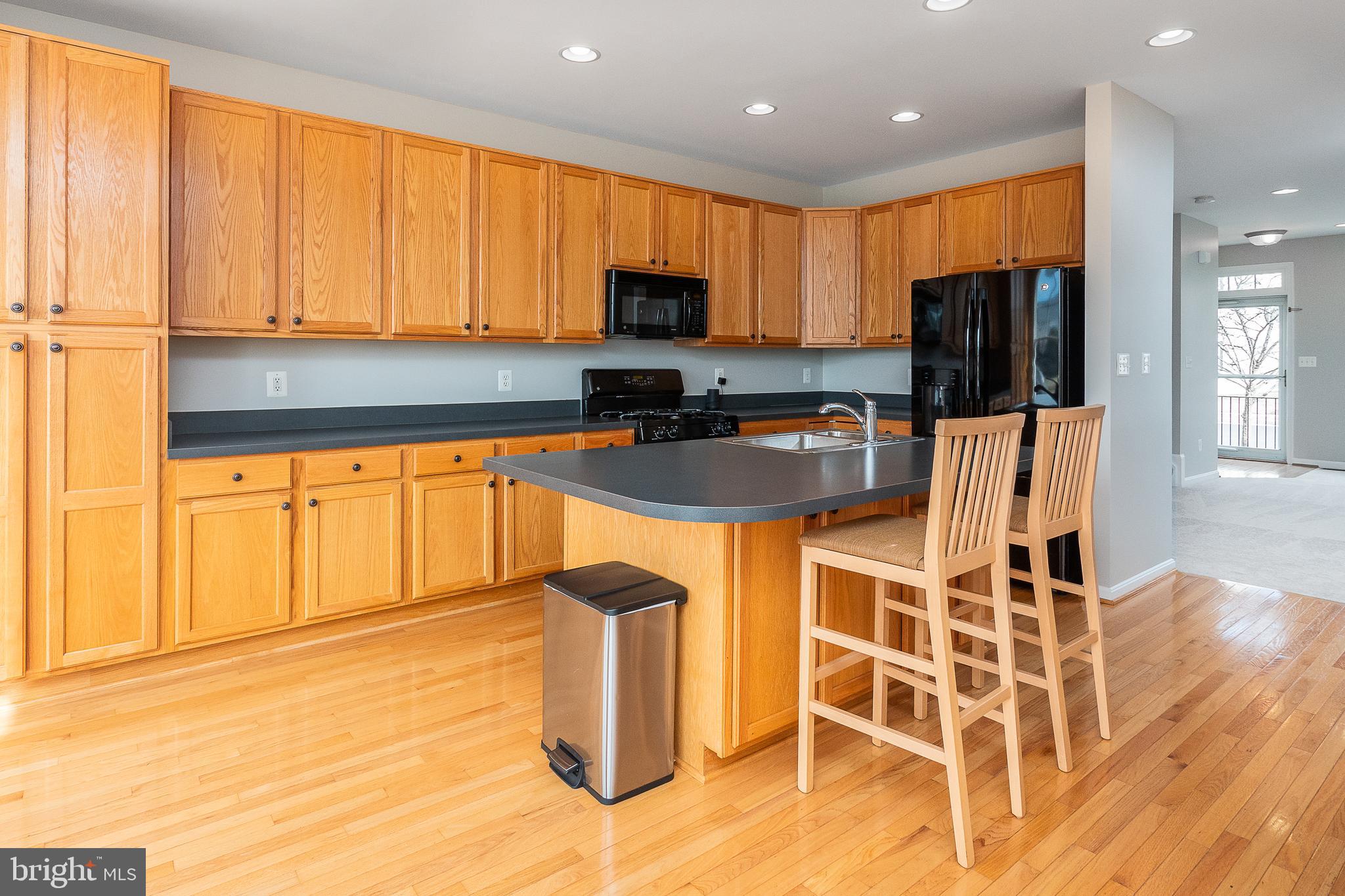 9021 Ribbon Falls Loop Bristow, VA 20136 - Photo 8 of 32 Gallery Image 8