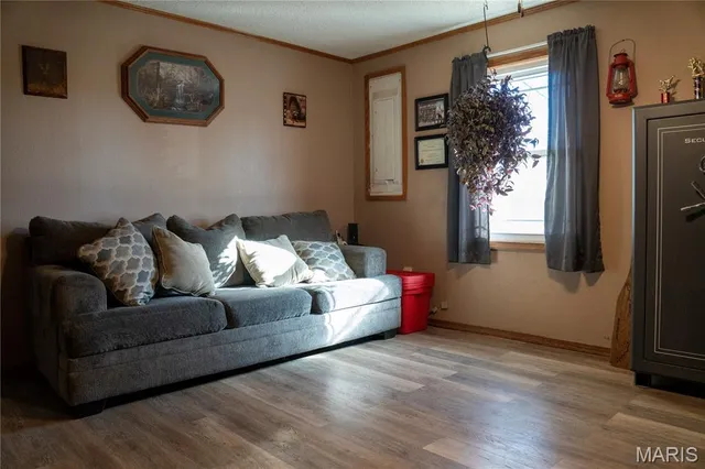 $315,000 | 2615 County Line Road, Harviell, MO 63945