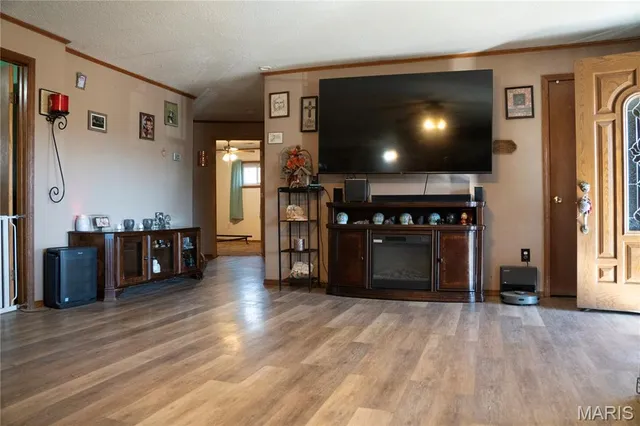 $315,000 | 2615 County Line Road, Harviell, MO 63945