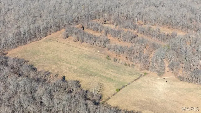 $315,000 | 2615 County Line Road, Harviell, MO 63945