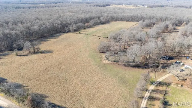 $315,000 | 2615 County Line Road, Harviell, MO 63945